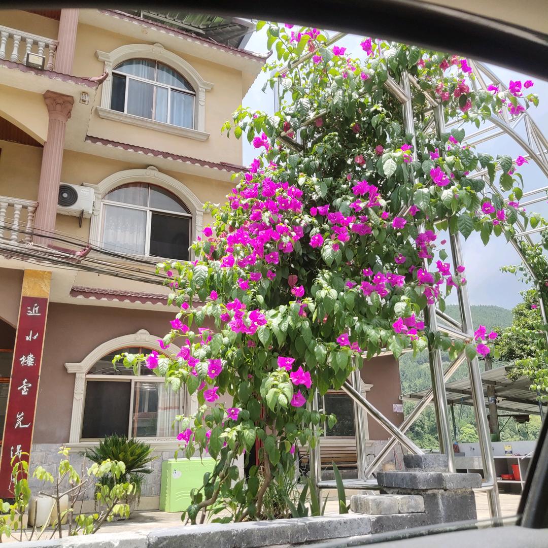 三个孩子的单亲妈妈