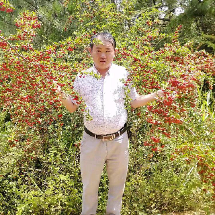 没有彩虹的春天还是可以自由的飞翔