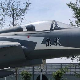 青春也去