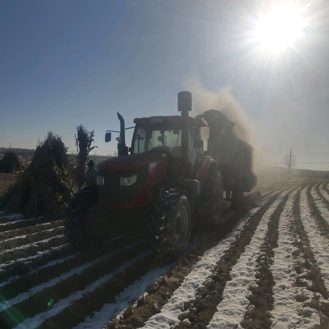双塔~小玲农村养殖