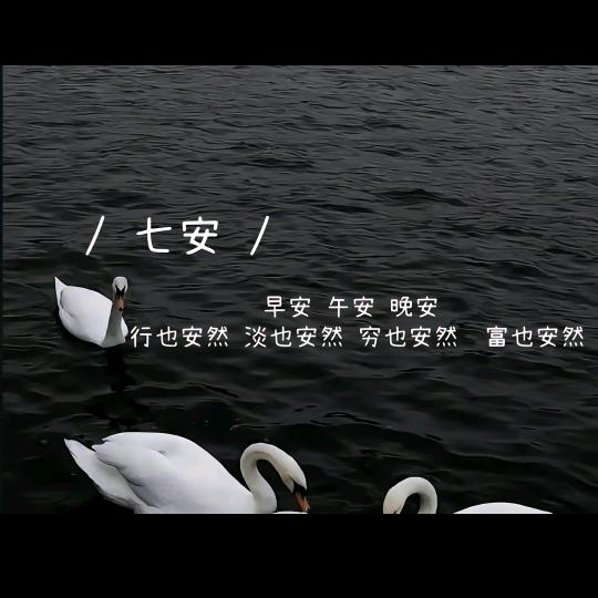 七安🍀