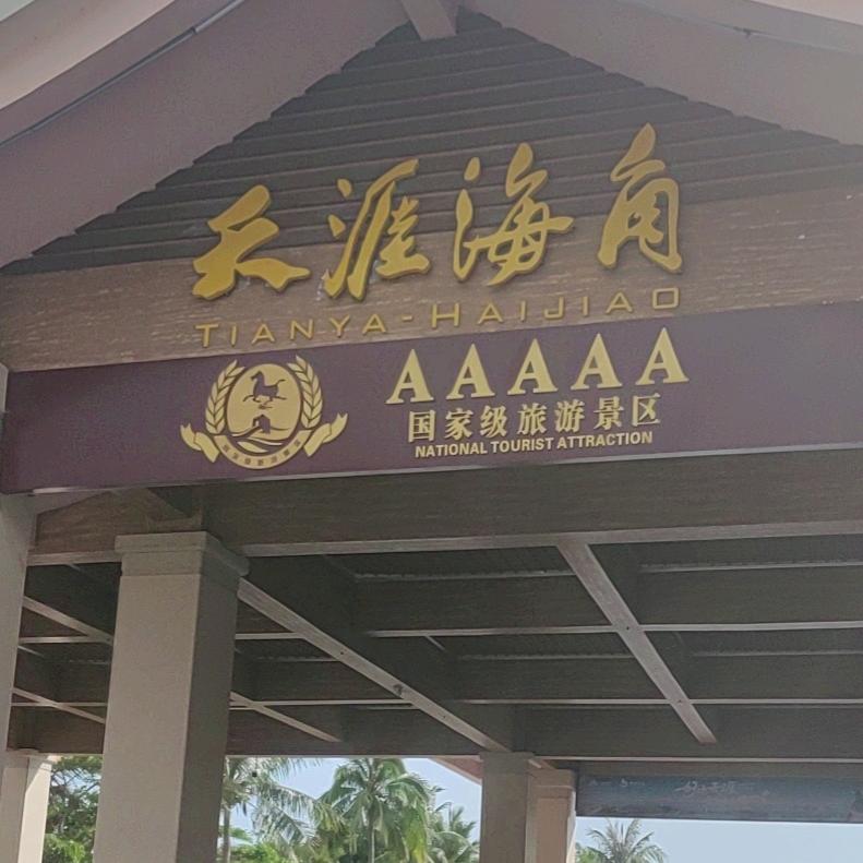 佛山崽崽