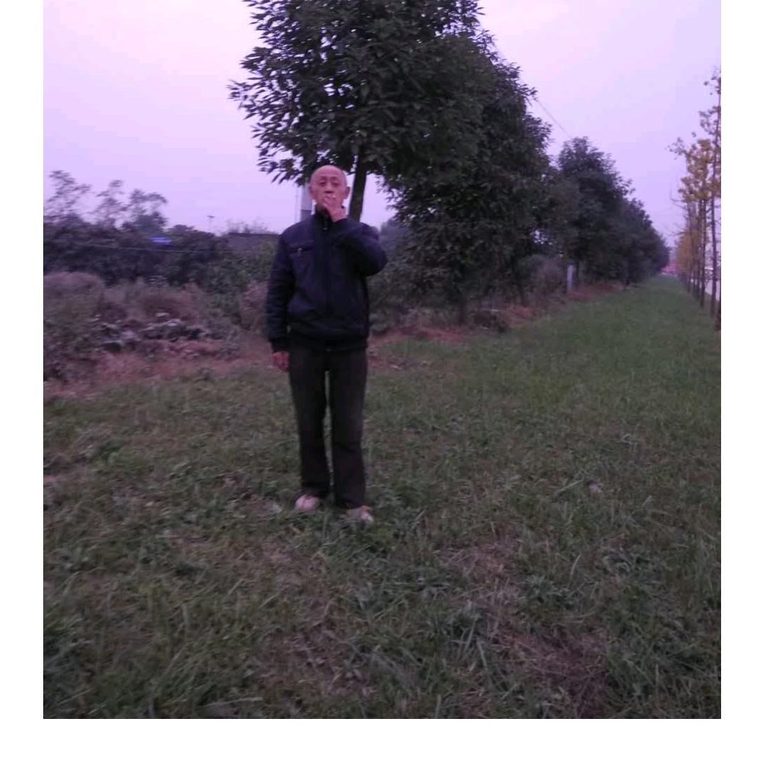 绵阳，三台，上新乡，永哥