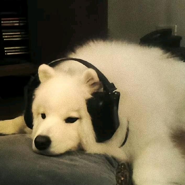 马嘉祺超绝刷抖音