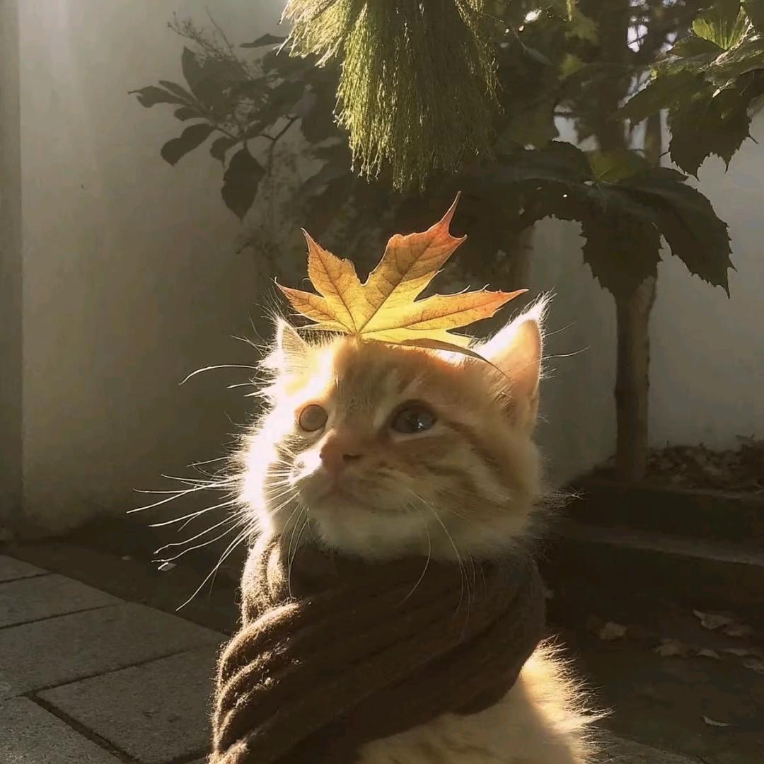 。，