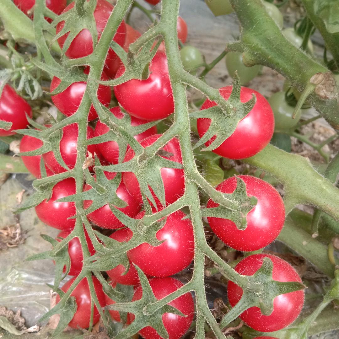 用户2345335322043随遇而安