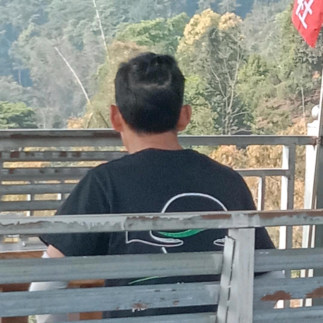 玉溪元江的龙