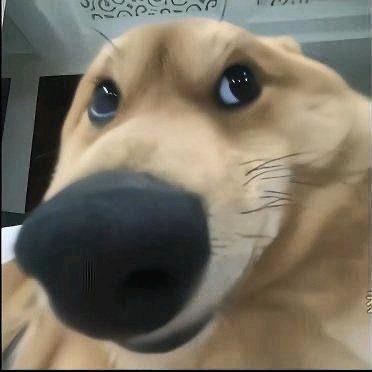 🌈迪加
