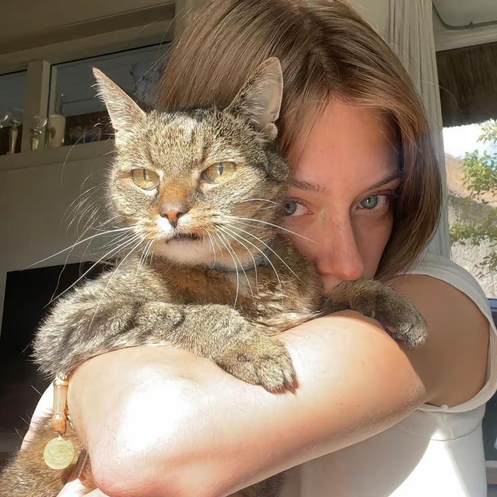 麻辣香菜🌶️🥦