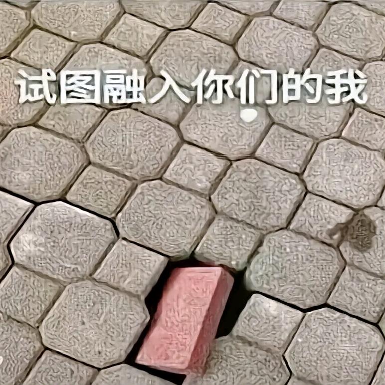 舞木木