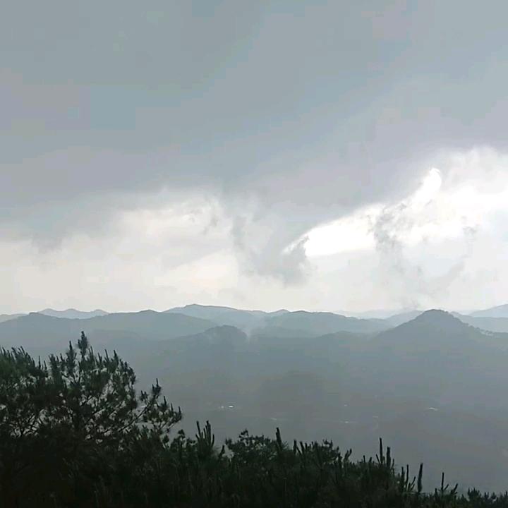随风♧飘摇