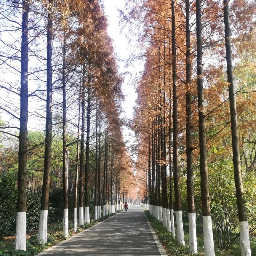 匆匆忙忙