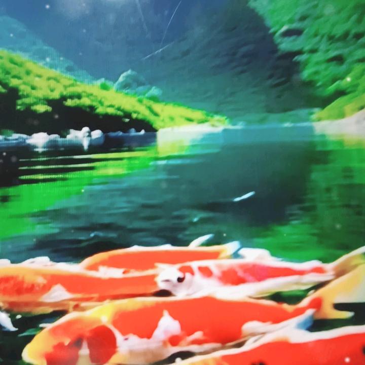 梦想成真。
