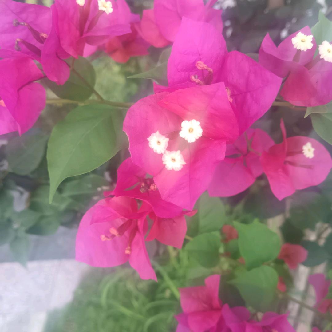 缘分