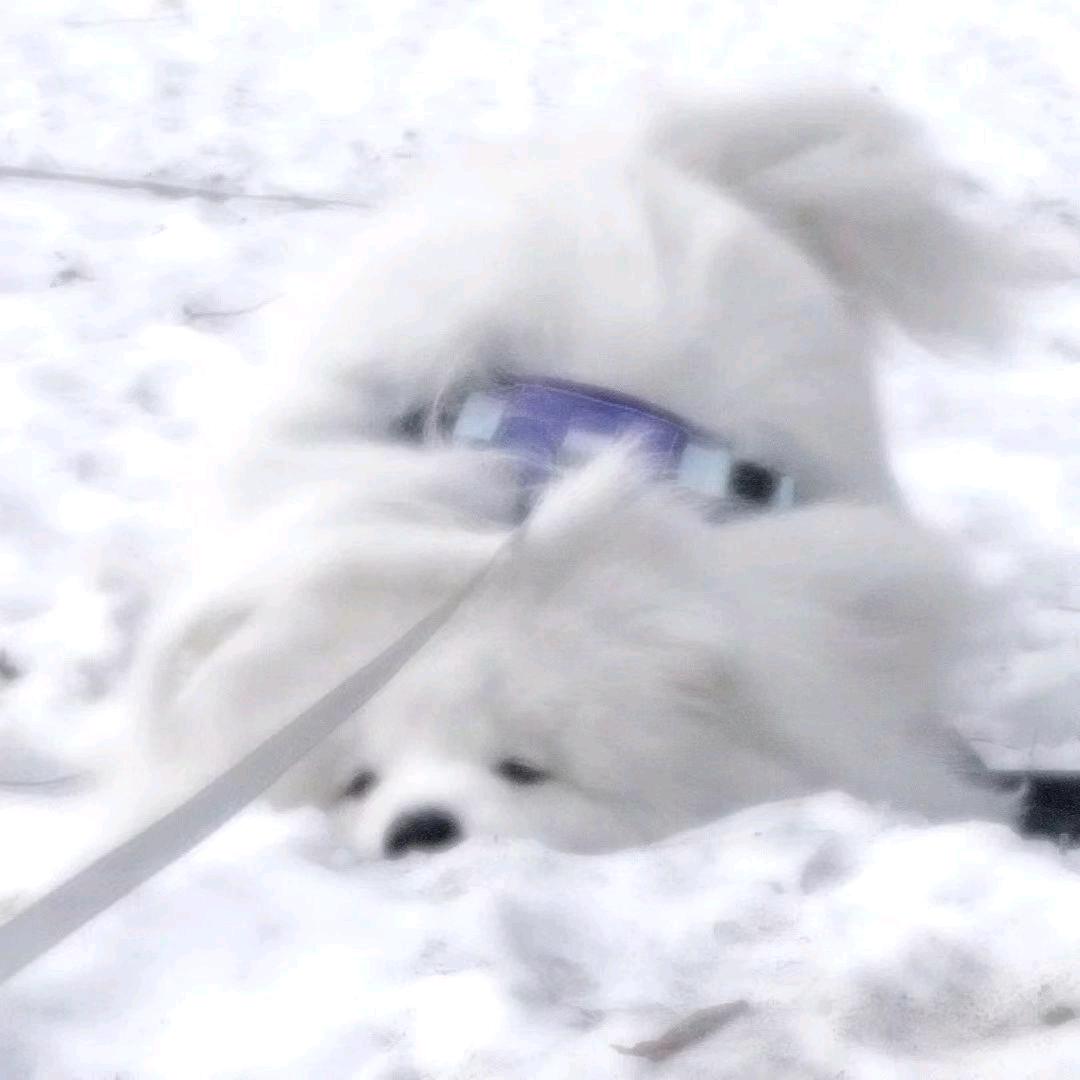 慕雪