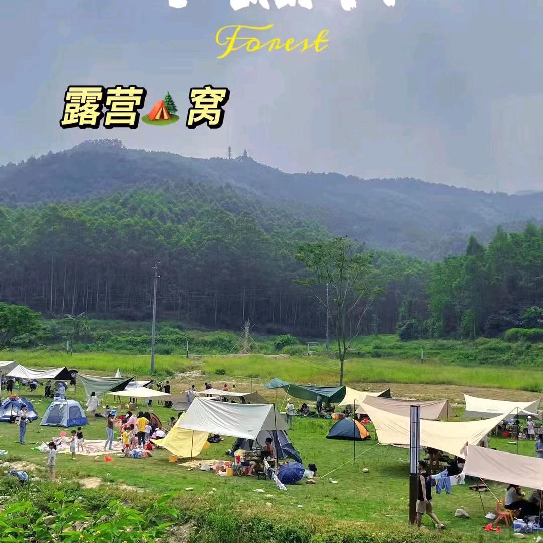户外露营小助理