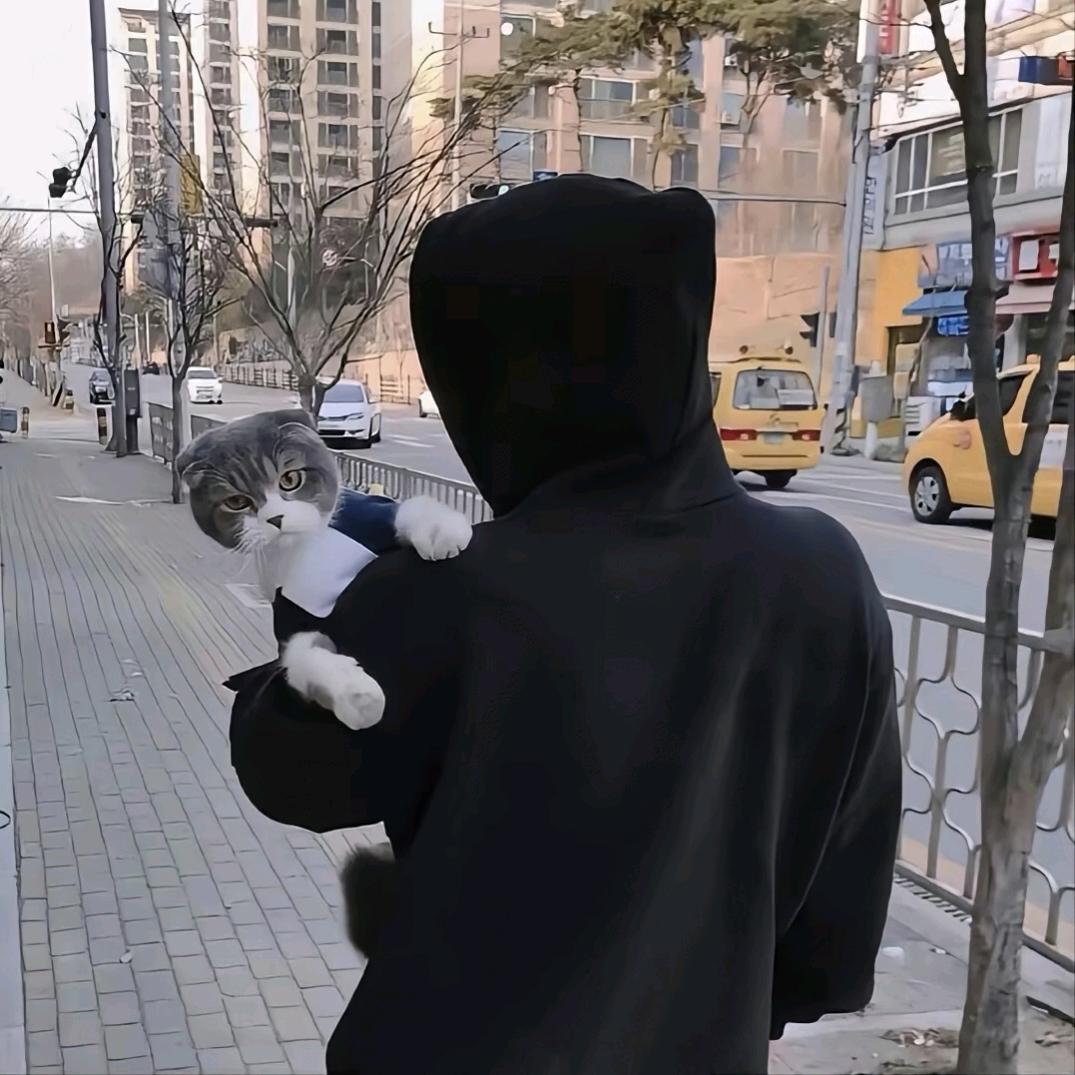 没睡醒的 An Star🍃