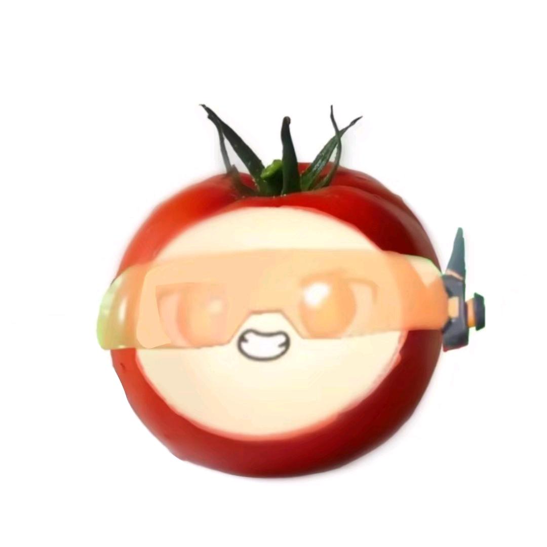 蛋仔技输主播.邪恶的Tomato