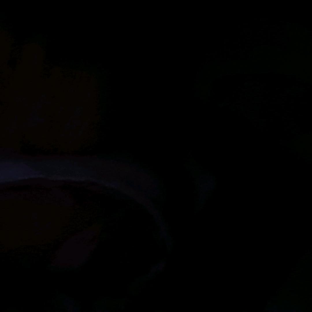 智，，