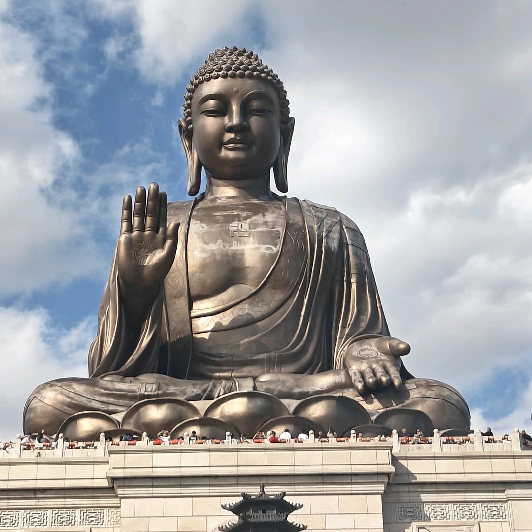 小鸡炖蘑菇