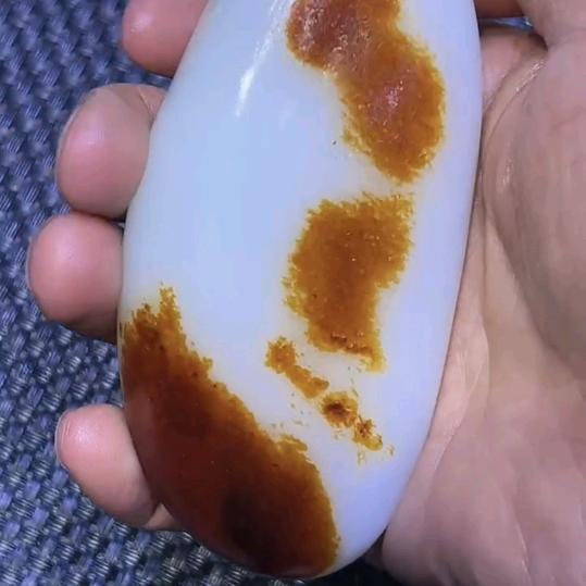 海派回流