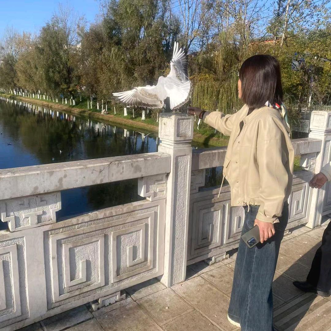 明天会更好😀