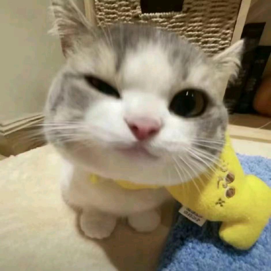 小萍