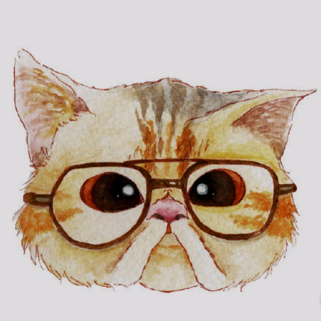 猫哥升学规划（顶尖生源）