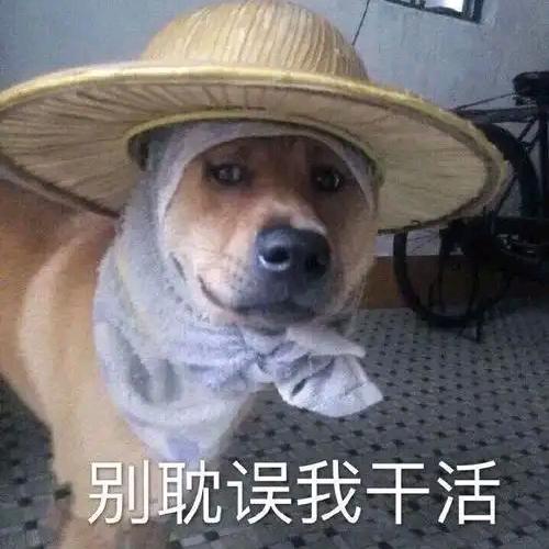 娱乐搞笑