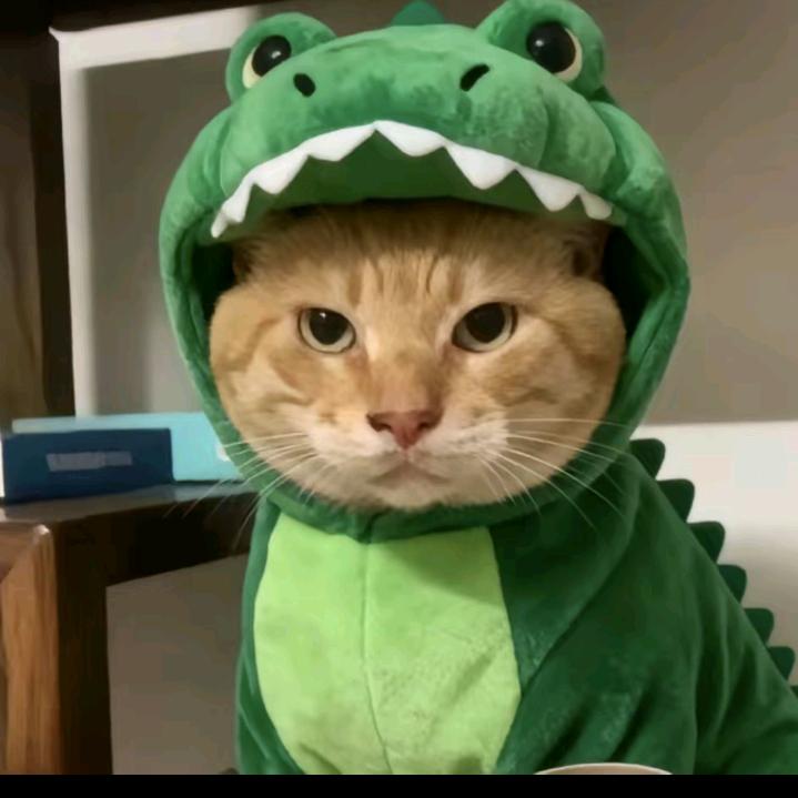 秋刀头像