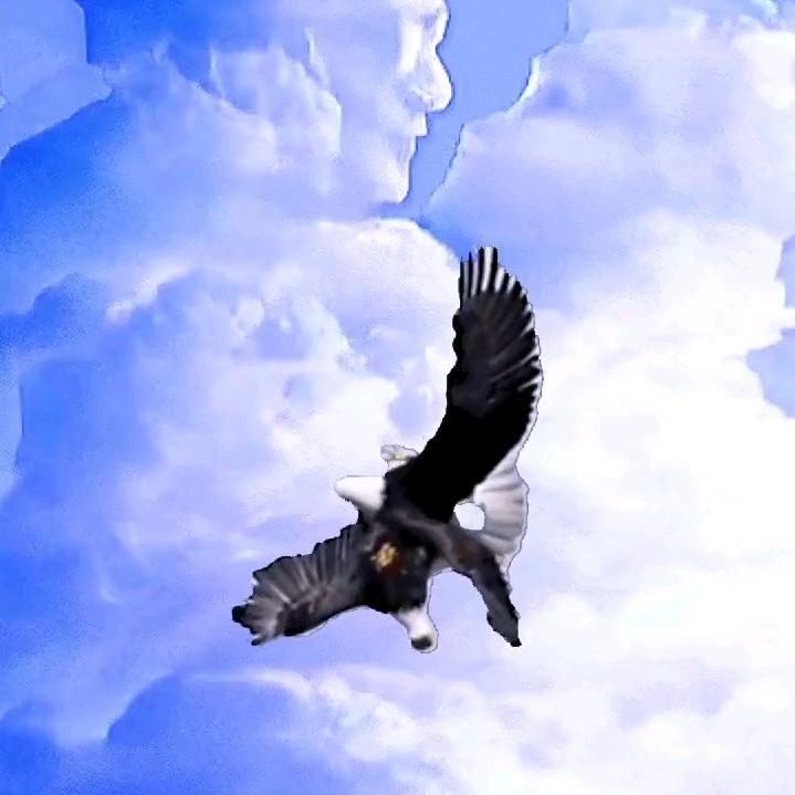 海阔天空