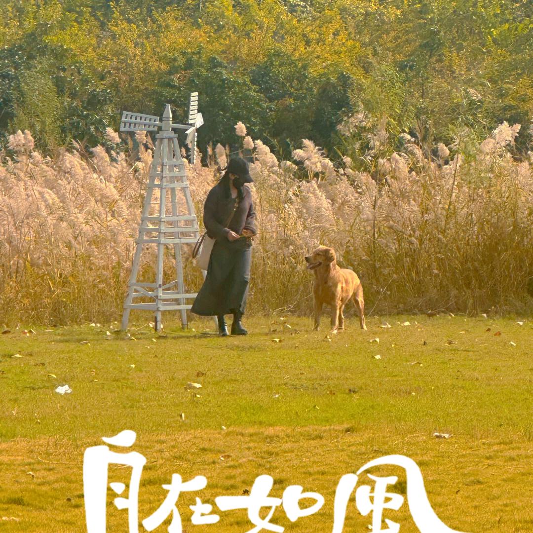 @佳音join