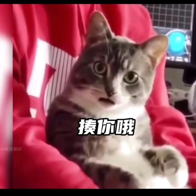 潇洒Î过头＆