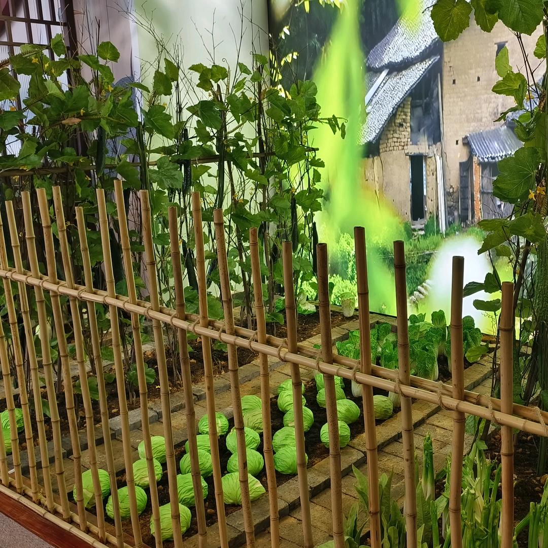 广结善缘（88888）