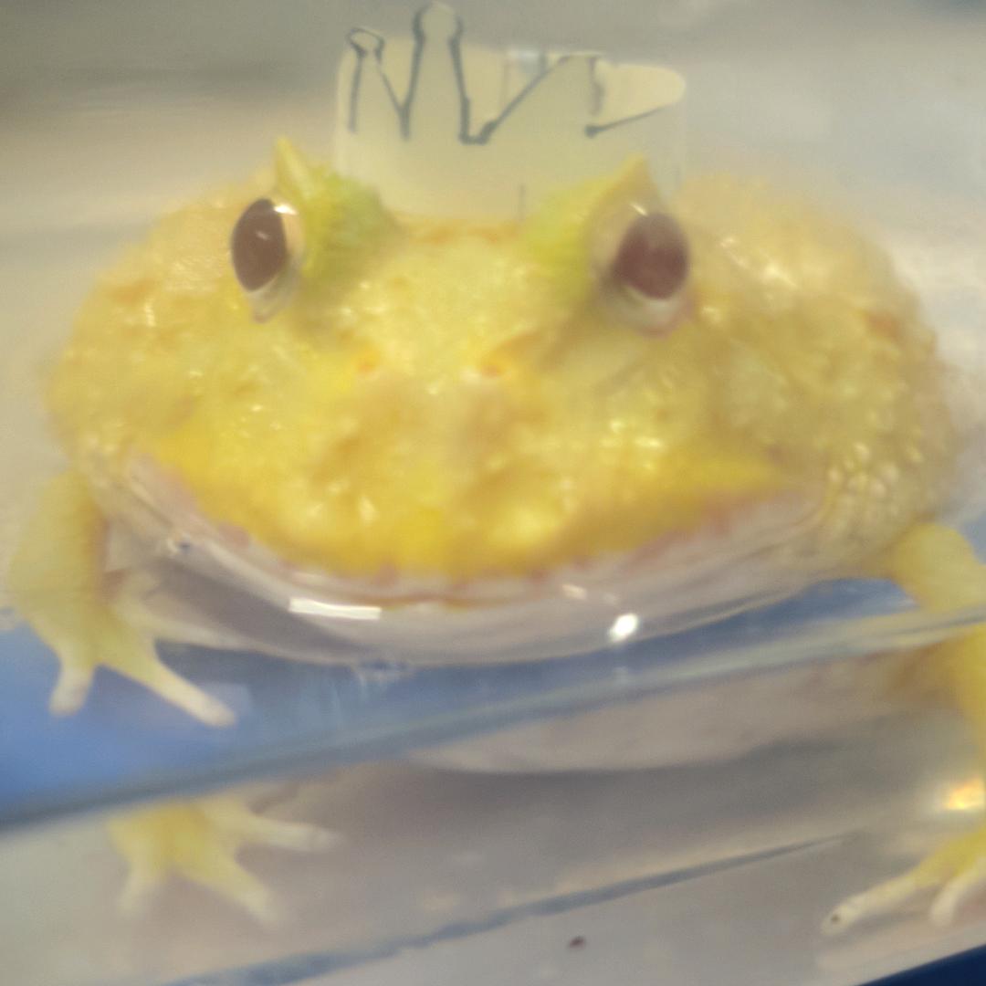 网名.