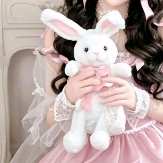 象山兔兔🐰