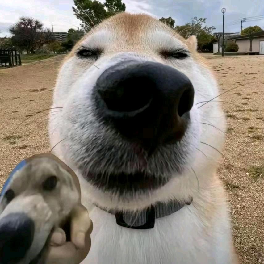 欢乐斗地主壹哥（小号）