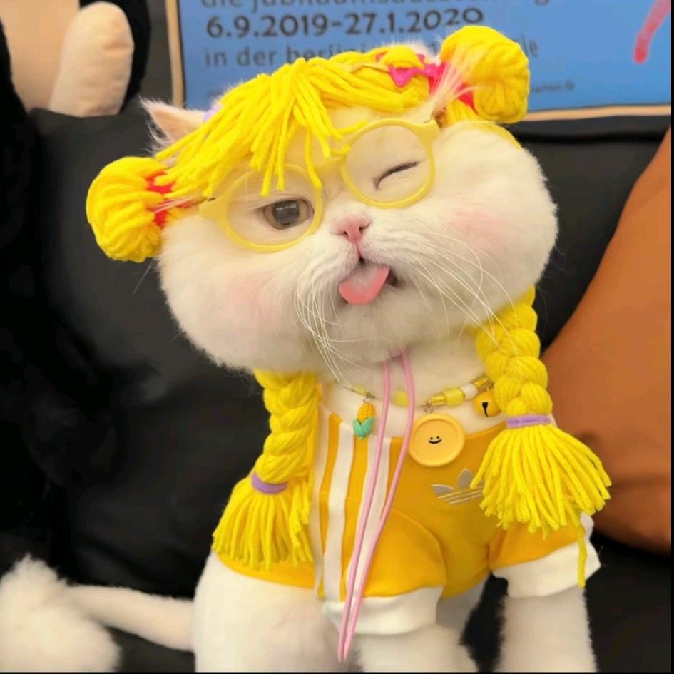 来财来财