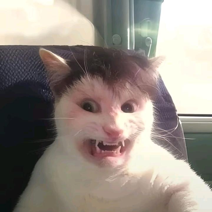 发呆便是思念G