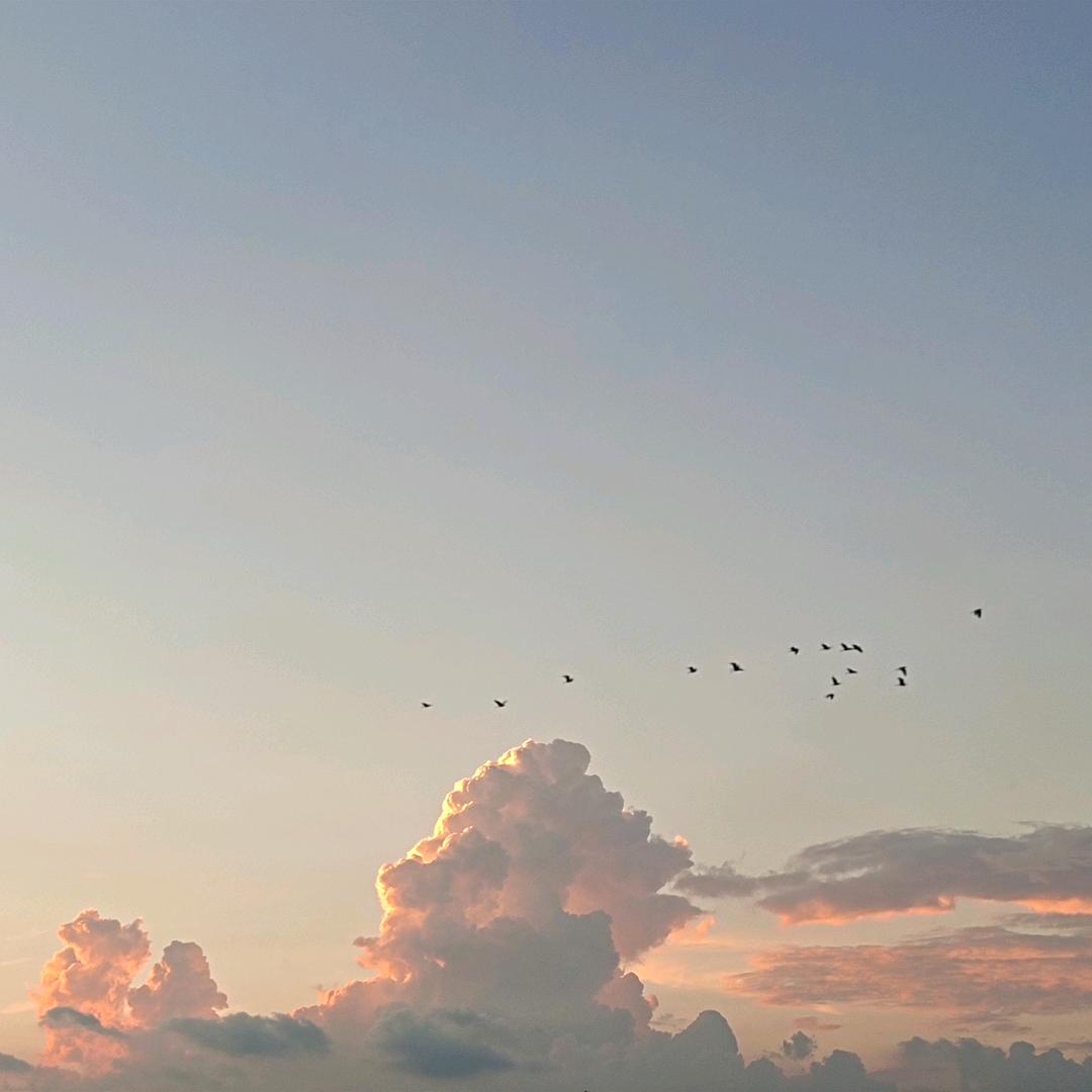梅雨季