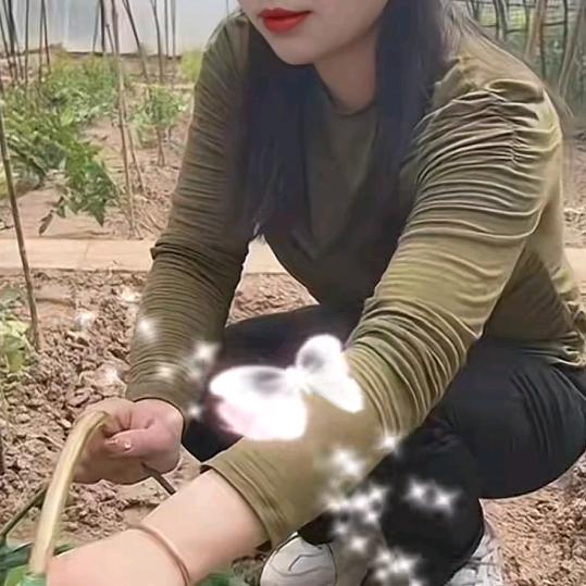 刘🌷群☔️🏃