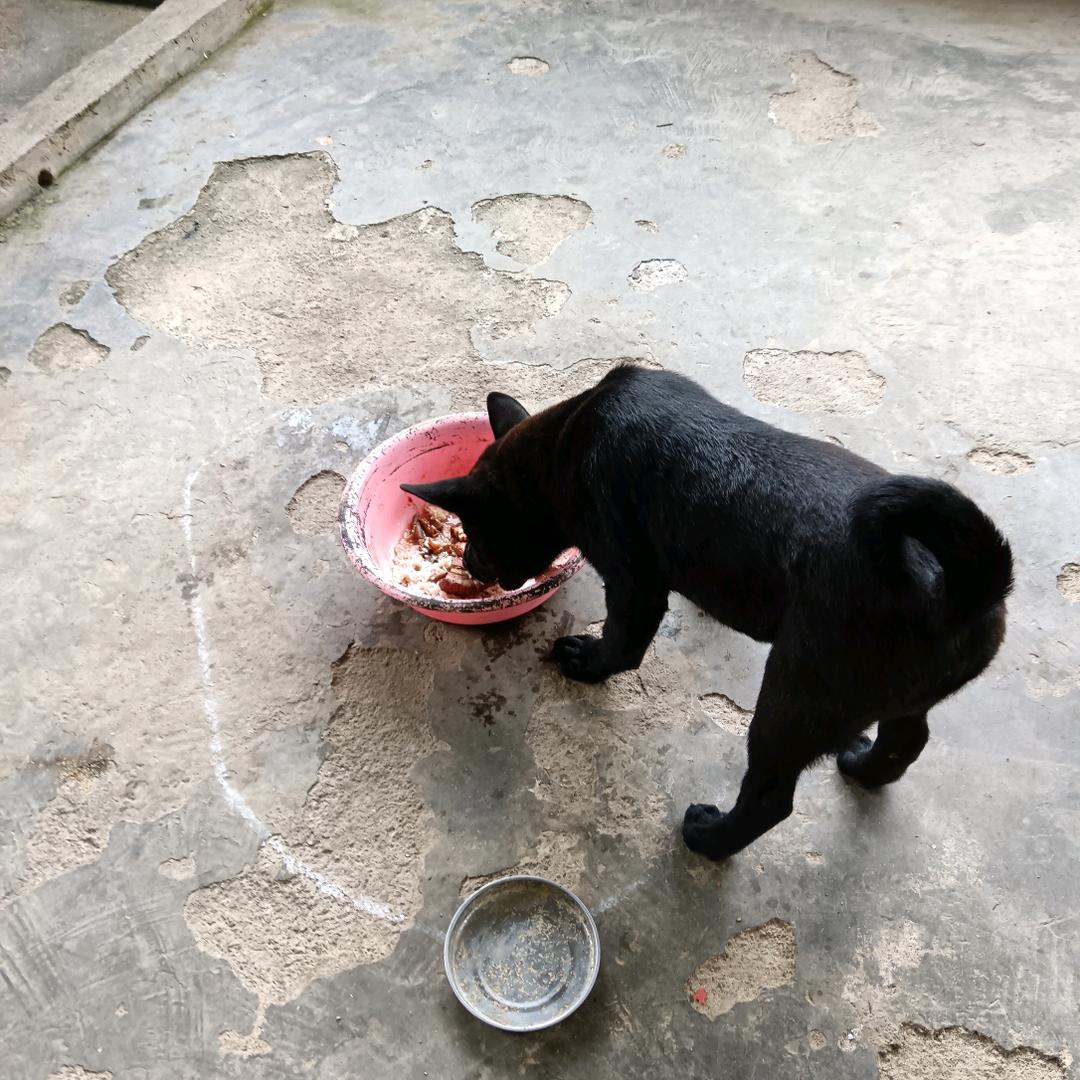 德庆杰少