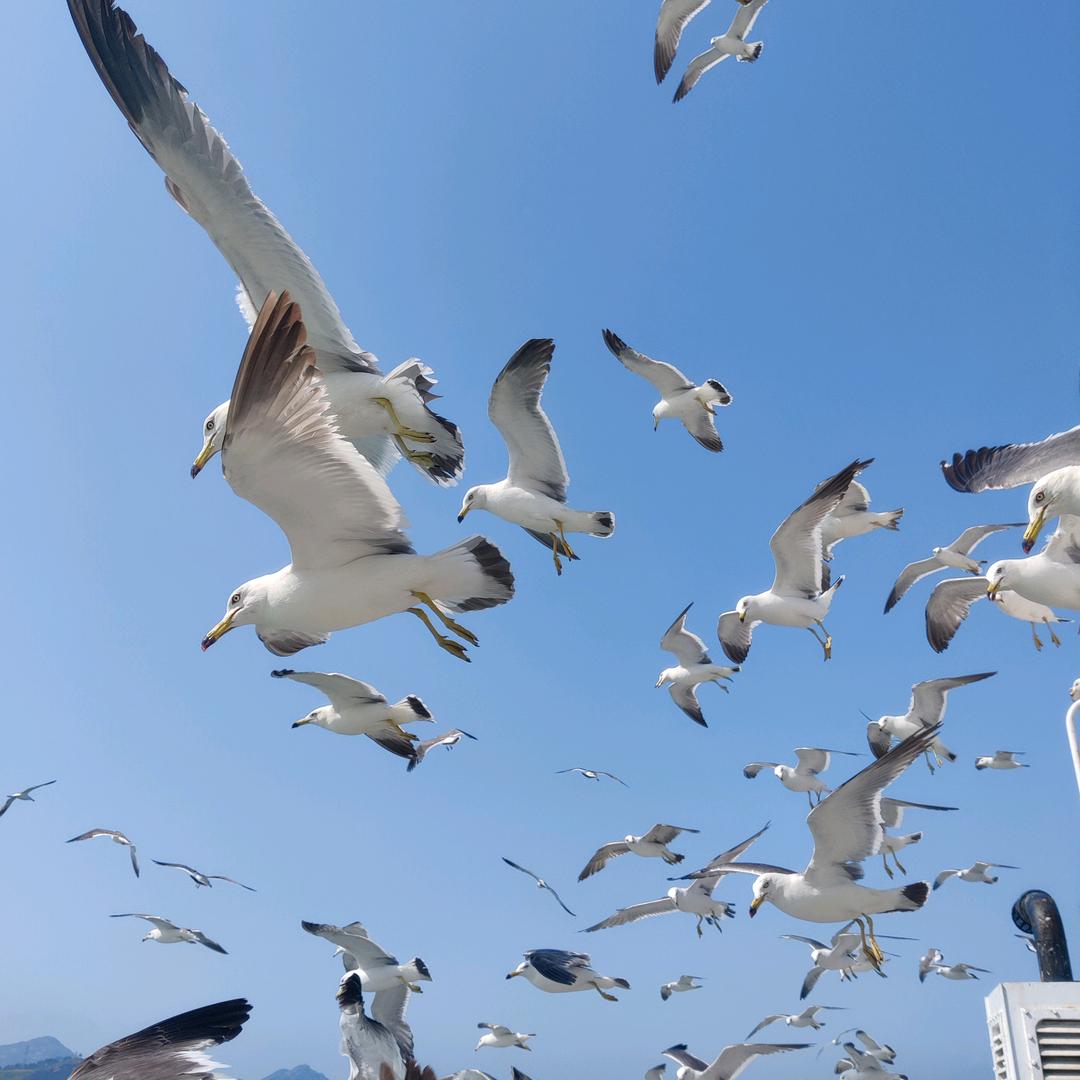 祥顺女装精品店
