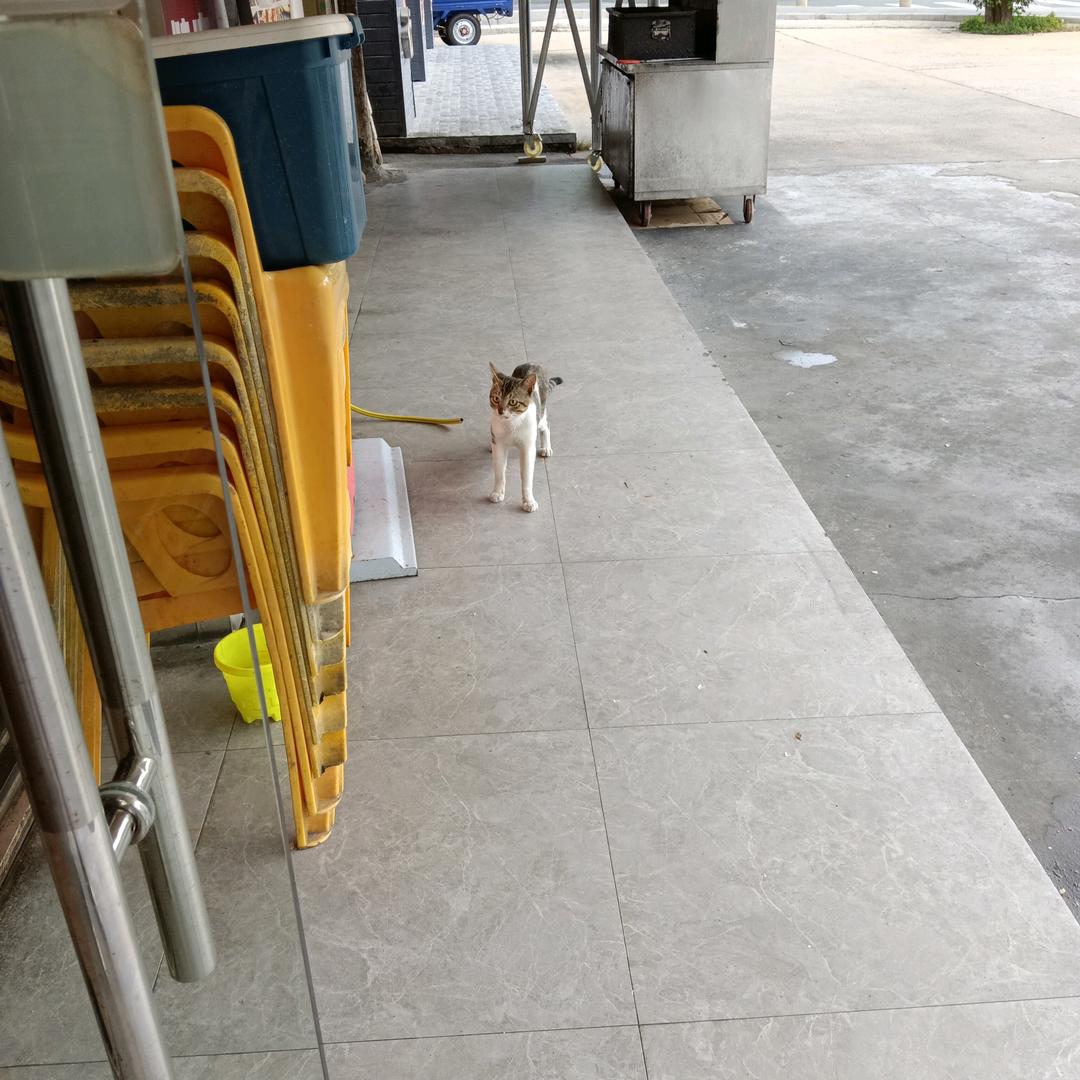 春天的雨
