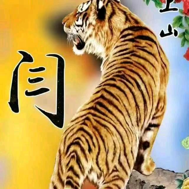自强不息🇨🇳