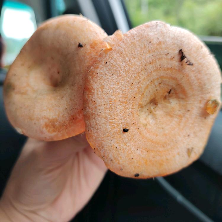 💞梦🕊中ღ᭄等ღ᭄着?