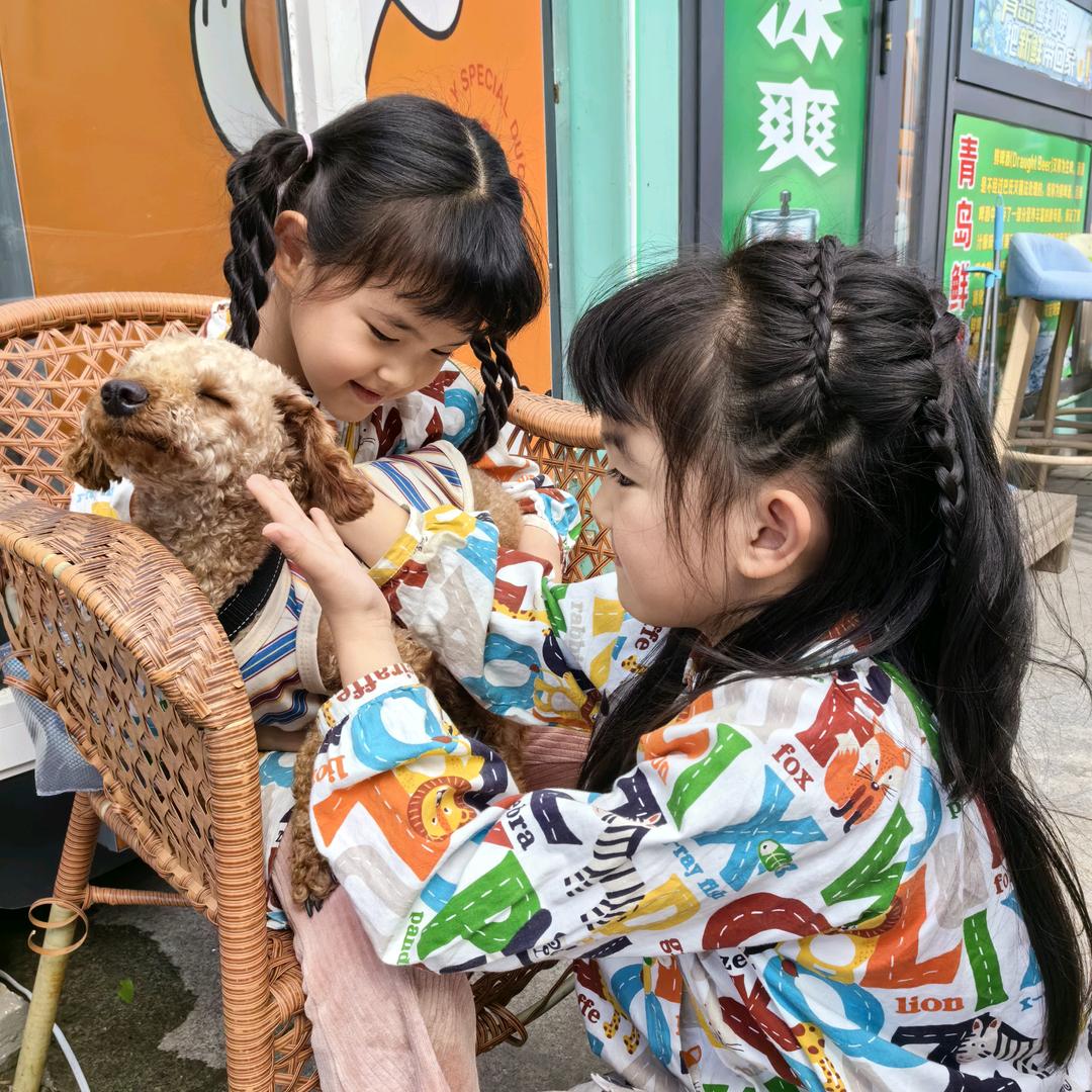 多肉金金