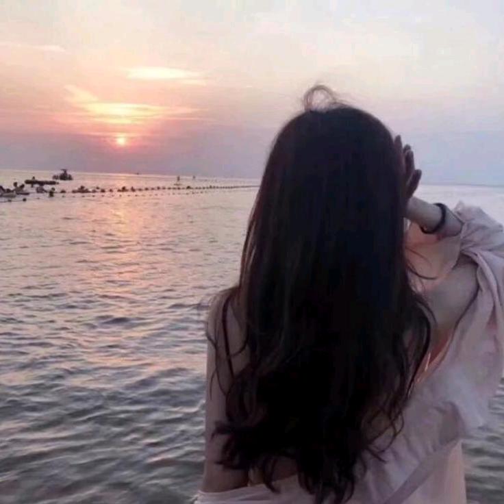 爱睡觉的一只小小猫