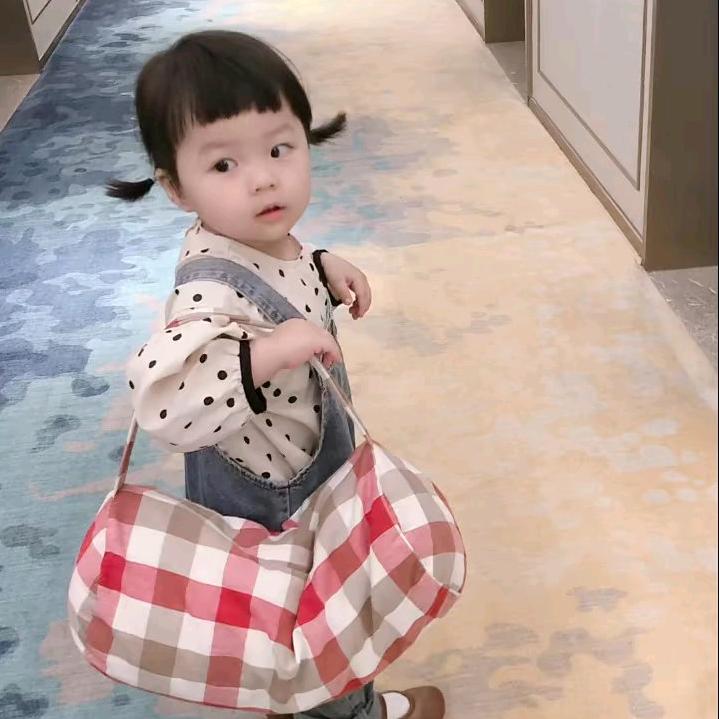 王昭昭