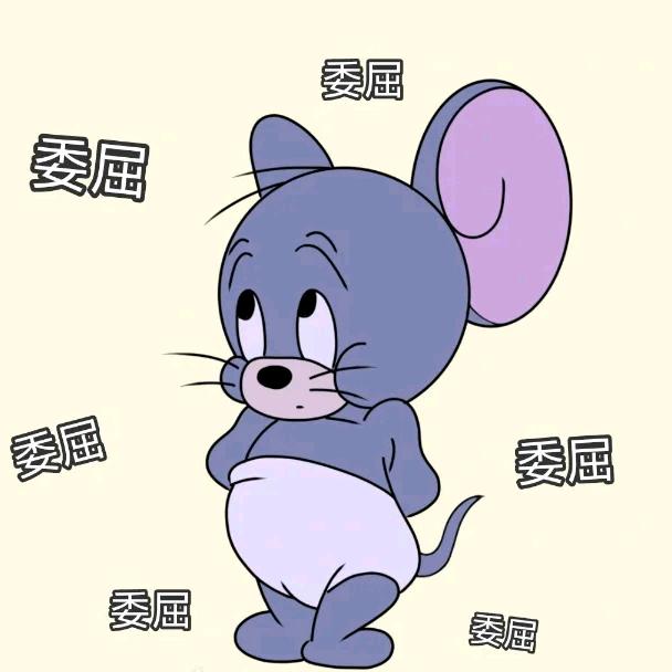 聪明的泰菲